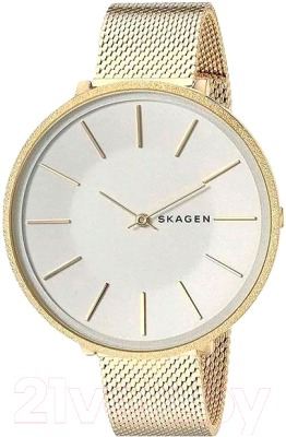 Часы наручные женские Skagen SKW2722 - фото