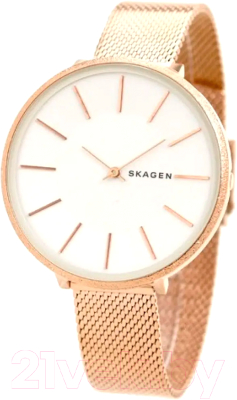 Часы наручные женские Skagen SKW2726 - фото