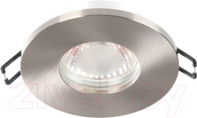 Точечный светильник ЭРА WR3 SN / Б0054366 - фото