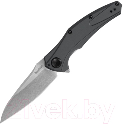 Нож складной Kershaw Bareknuckle / 7777BLKSW - фото