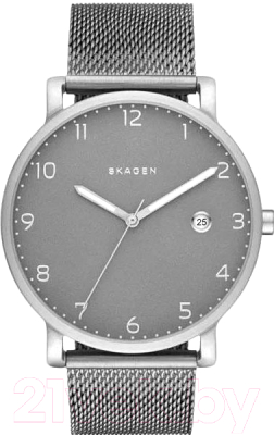 Часы наручные мужские Skagen SKW6307 - фото