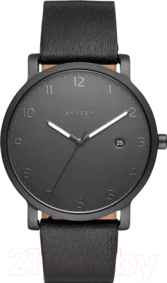 Часы наручные мужские Skagen SKW6308 - фото