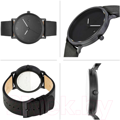 Часы наручные мужские Skagen SKW6308