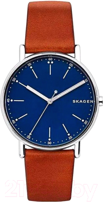 Часы наручные мужские Skagen SKW6355 - фото