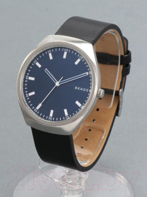 Часы наручные мужские Skagen SKW6385