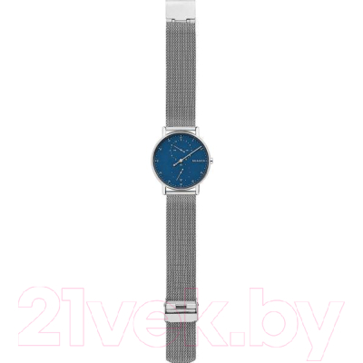 Часы наручные мужские Skagen SKW6389