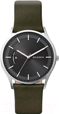 Часы наручные мужские Skagen SKW6394 - фото