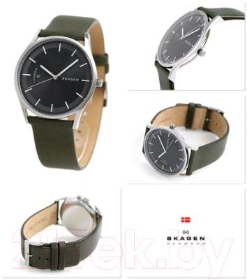 Часы наручные мужские Skagen SKW6394