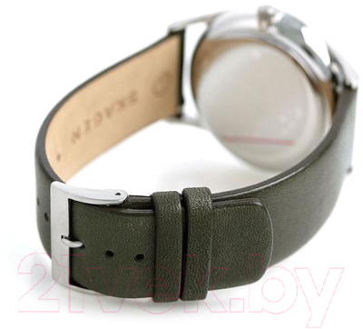 Часы наручные мужские Skagen SKW6394