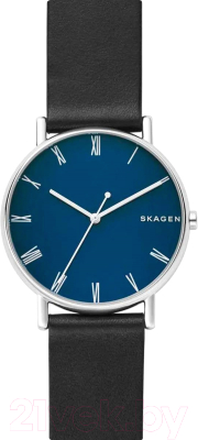 Часы наручные мужские Skagen SKW6434 - фото
