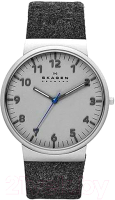 Часы наручные мужские Skagen SKW6097 - фото