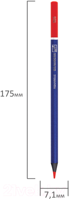 Набор акварельных карандашей Brauberg Art Premiere / 181533