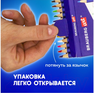 Набор цветных карандашей Brauberg Art Classic / 181539