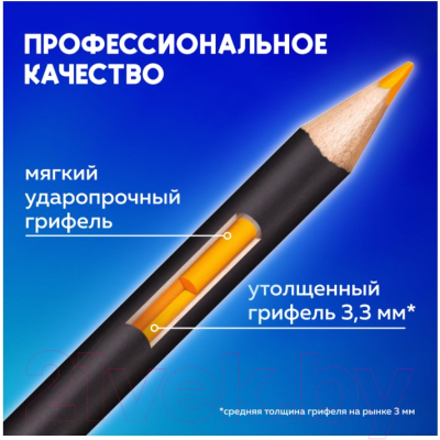 Набор цветных карандашей Brauberg Art Classic / 181539