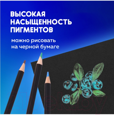 Набор цветных карандашей Brauberg Art Classic / 181539