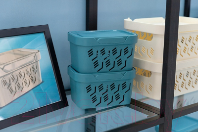 Контейнер для хранения Econova Luxe / 433233430