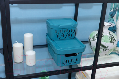 Контейнер для хранения Econova Luxe / 433233430