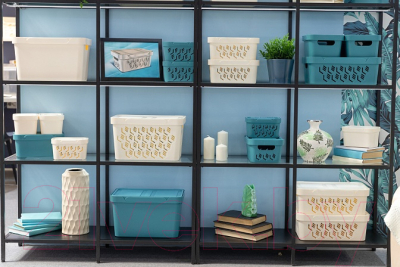 Контейнер для хранения Econova Luxe / 433233430