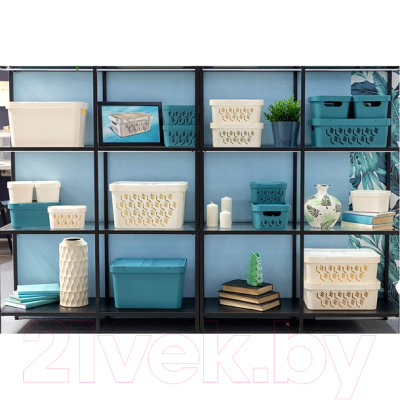 Контейнер для хранения Econova Luxe / 433233434