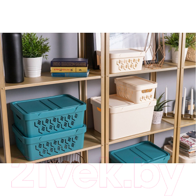 Контейнер для хранения Econova Luxe / 433205834