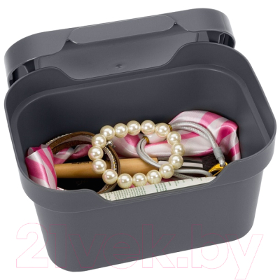 Контейнер для хранения Econova Luxe / 433233411