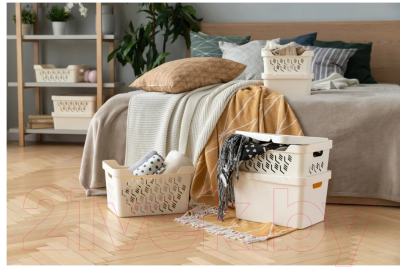 Ящик для хранения Econova Luxe 433205811