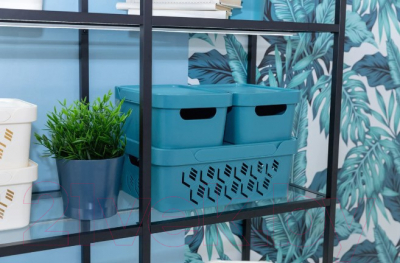 Ящик для хранения Econova Luxe 433205811