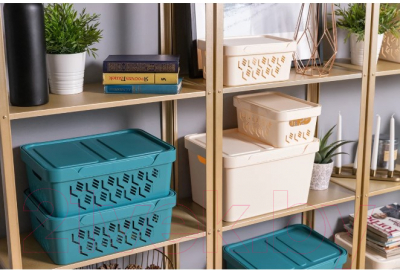 Ящик для хранения Econova Luxe 433205811