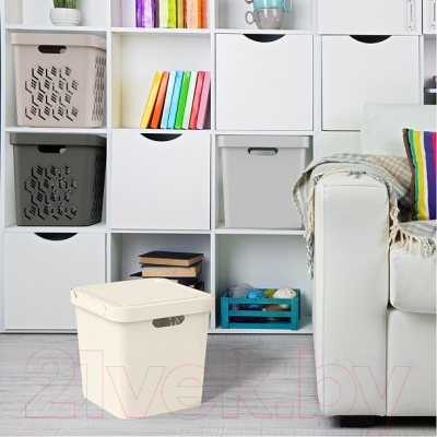 Контейнер для хранения Econova Luxe / 433242611 (серый)