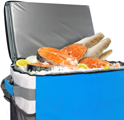 Термосумка Биосталь Дискавери / TCР-B40