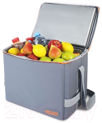 Термосумка Биосталь Дискавери / TCР-GZ25