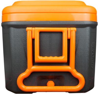 Термоконтейнер Биосталь CB-80G-К