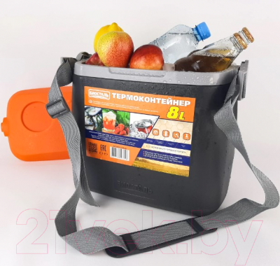 Термоконтейнер Биосталь CB-8G-Р