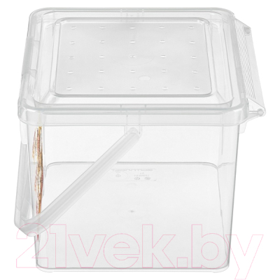 Контейнер Phibo 433212801 (бесцветный)