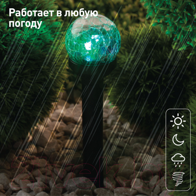 Светильник уличный ЭРА SL-PL33-CRAC / Б0018818