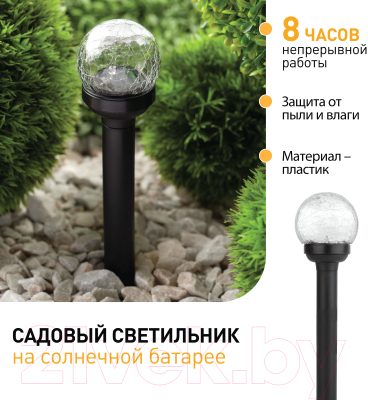 Светильник уличный ЭРА SL-PL33-CRAC / Б0018818