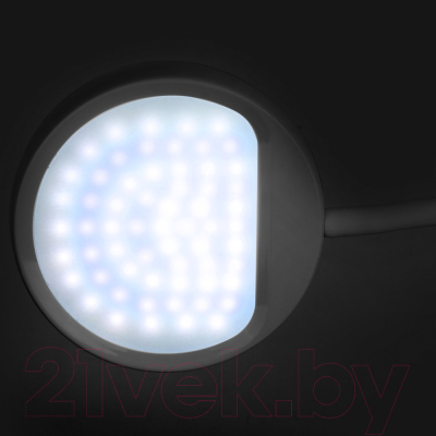 Настольная лампа Camelion KD-828 C01 / 13006