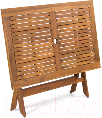 Стол складной Fieldmann FDZN 4011-T