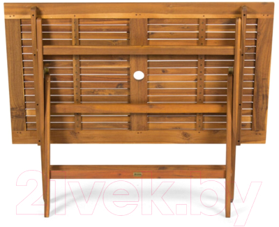 Стол складной Fieldmann FDZN 4011-T