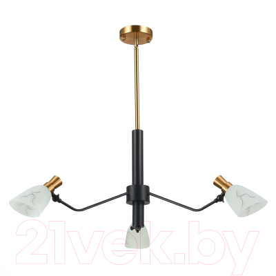 Люстра Evoluce SLE205403-03 - фото