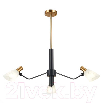 Люстра Evoluce SLE205403-03