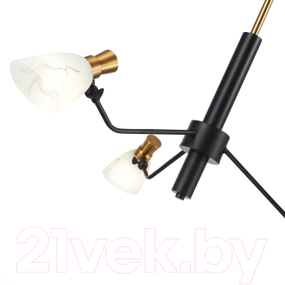 Люстра Evoluce SLE205403-03