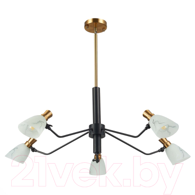 Люстра Evoluce SLE205403-05 - фото