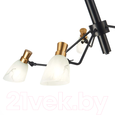 Люстра Evoluce SLE205403-05