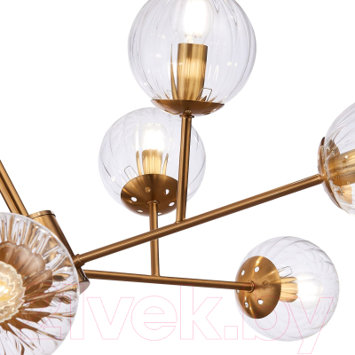 Люстра Evoluce SLE220803-10