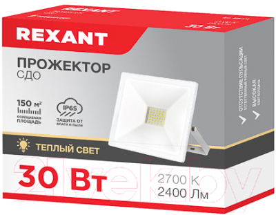 Прожектор Rexant 605-028