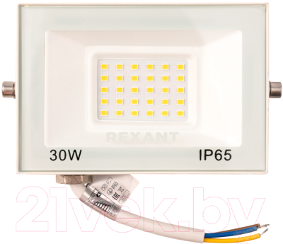 Прожектор Rexant 605-028