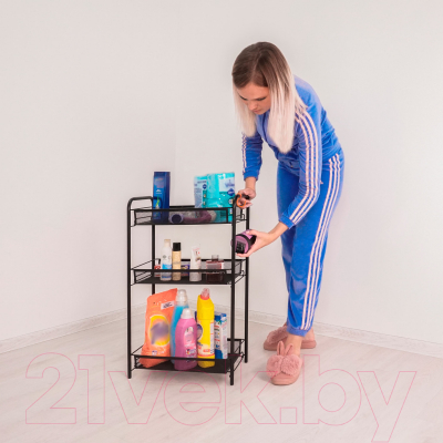 Этажерка ЗМИ Ладья 2 / Э 290