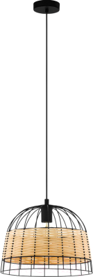 Потолочный светильник Eglo Anwick 43311 - фото