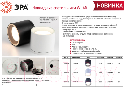 Спот ЭРА WL40 WH GX53 / Б0054415